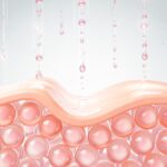 Kolagen na kolana – czy naprawdę pomaga na stawy Kolagen na kolana