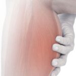 Mięśnie łydki – funkcje, ćwiczenia i najczęstsze dolegliwości Mięśnie łydki