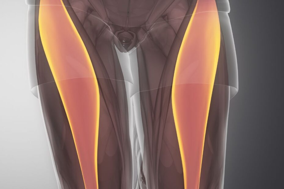 Mięsień dwugłowy uda przyczepy