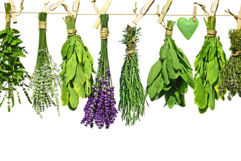 Amol na wrastające paznokcie