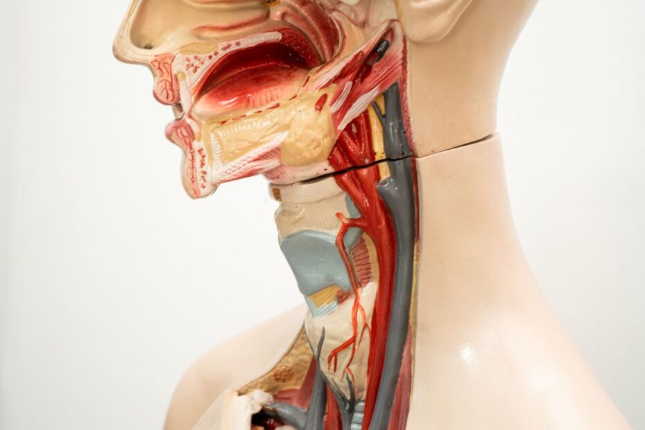 Ile goi się nadżerka w przełyku